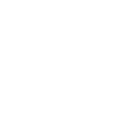 Our Commitment